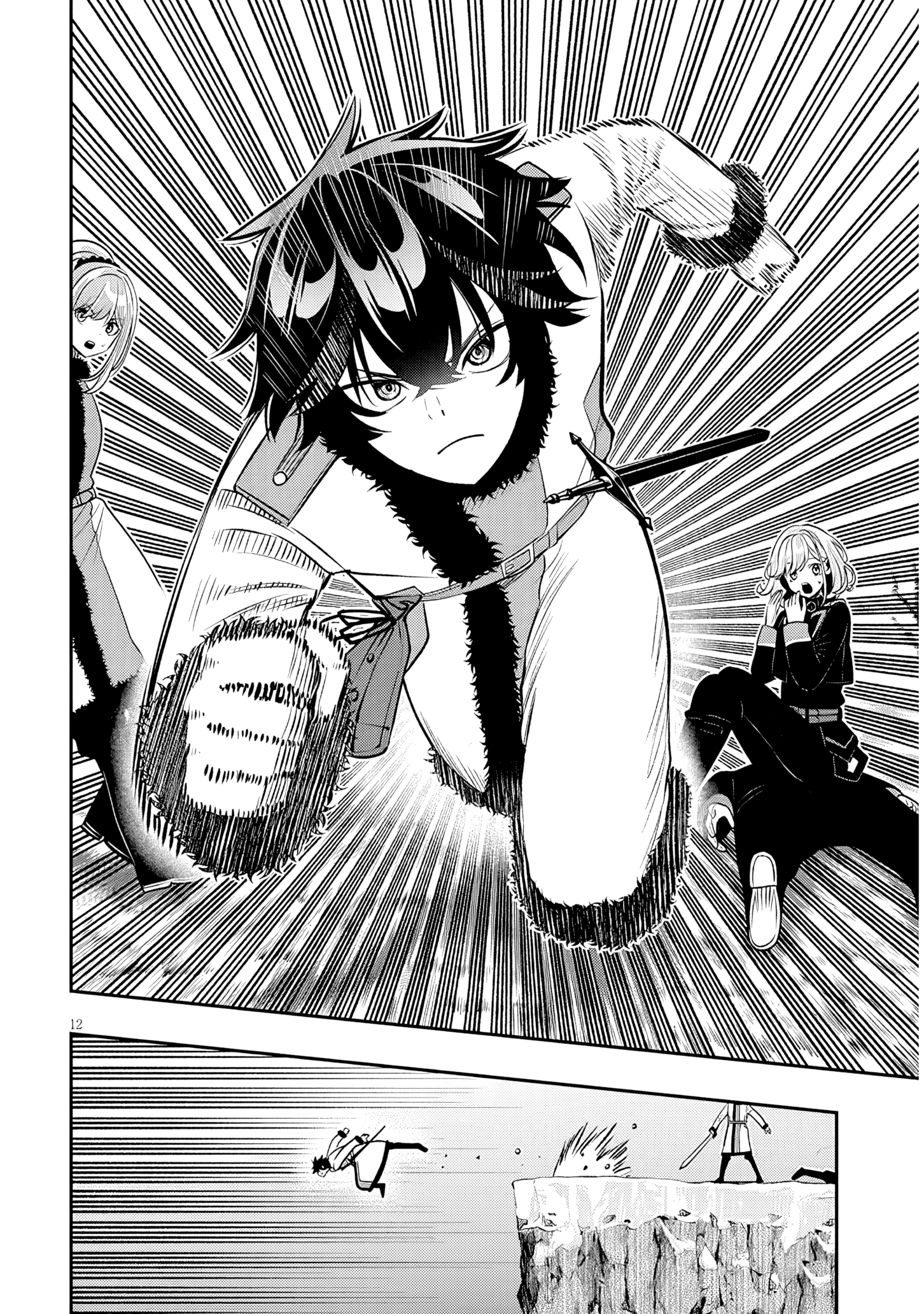 Page 12