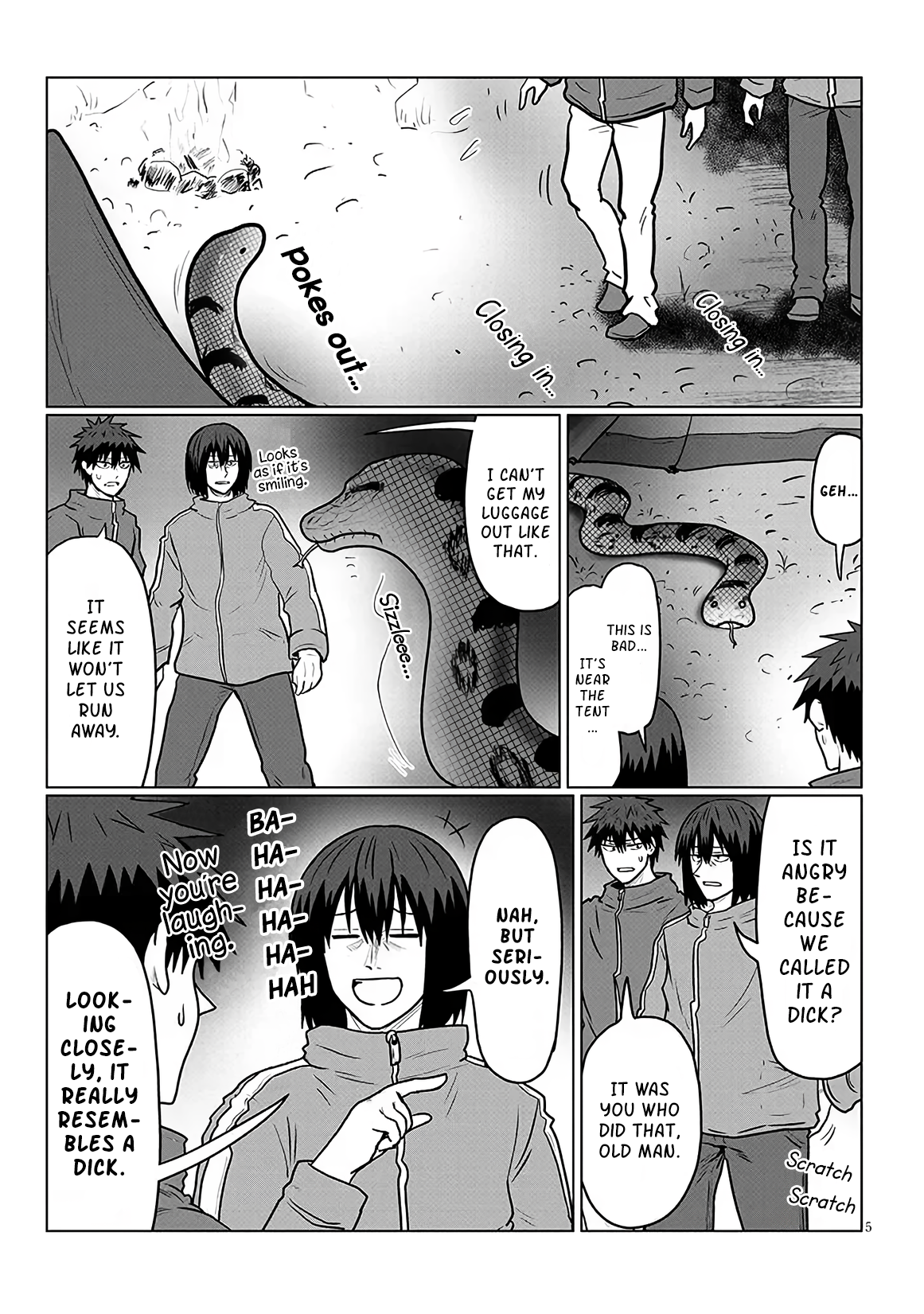 Page 5