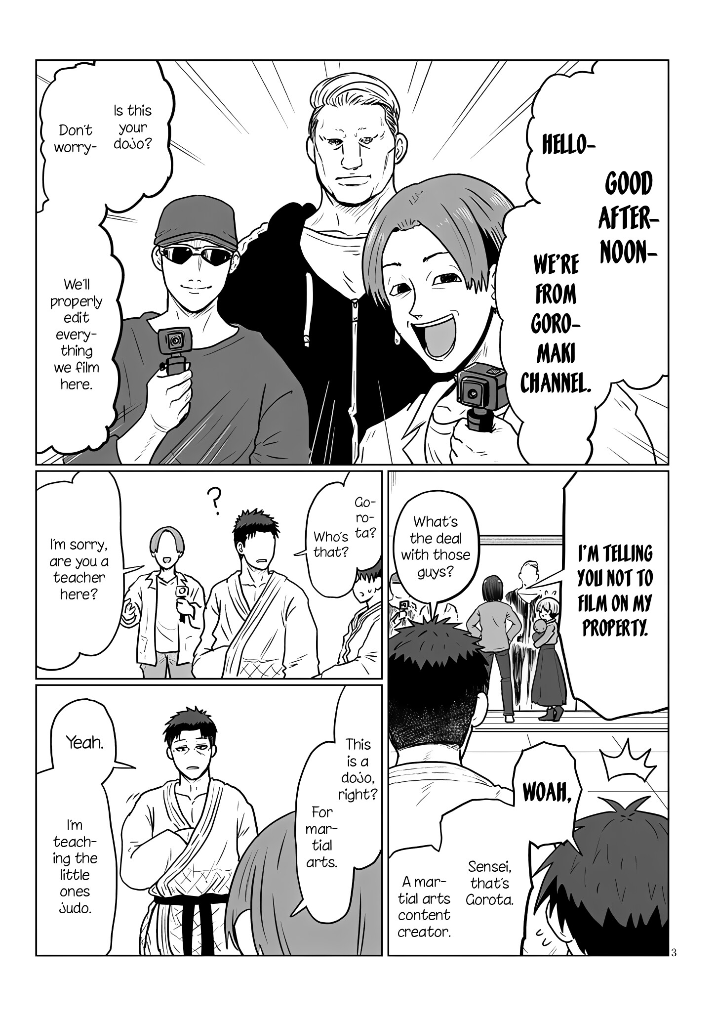 Page 3